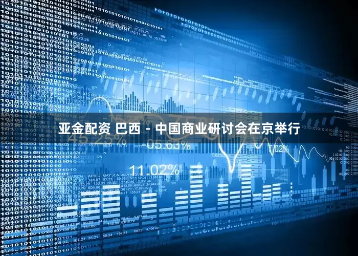 亚金配资 巴西－中国商业研讨会在京举行