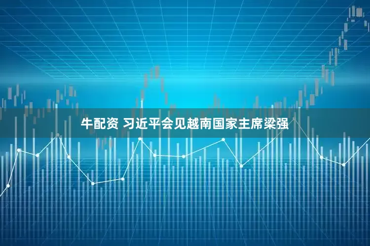牛配资 习近平会见越南国家主席梁强