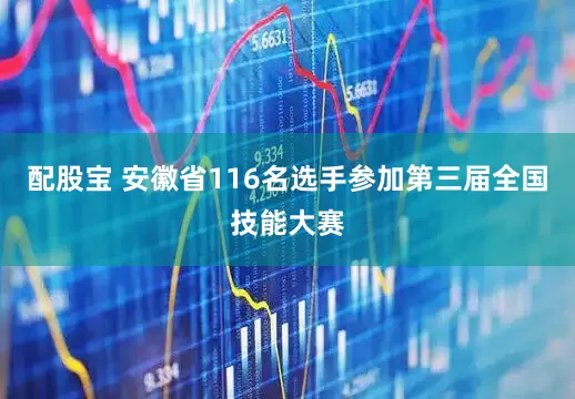 配股宝 安徽省116名选手参加第三届全国技能大赛